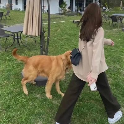 金发大个子